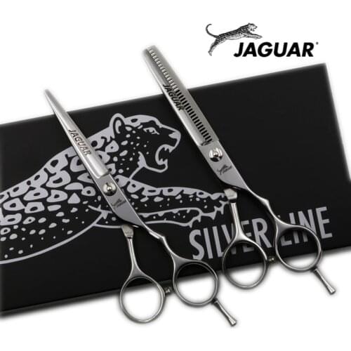 5.5 inch Professional Hairdressing Scissors Set Cutting+Thinning Barber Shears High quality