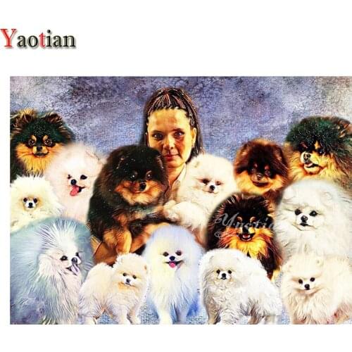 Diamond Painting 5D New Diamond Embroidery Woman and her Pomeranian Pet Crafts Wall Decor Diamond Mosaic Animal Full Kit