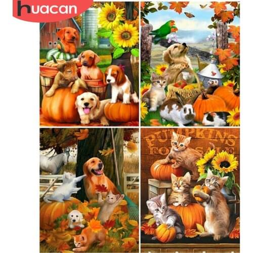 HUACAN Coloring By Numbers Hallowween Dog Oil Painting Art Gift DIY Pictures By Number Cat Kits Home Decor