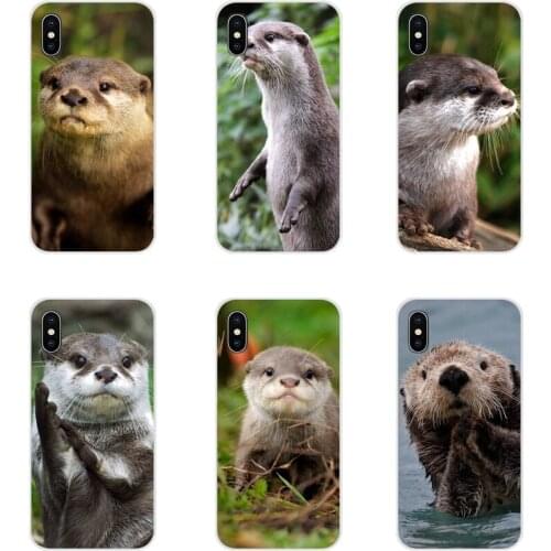 For Huawei Y5 Y6 Y7 Y9 Prime Pro GR3 GR5 2017 2018 2019 Y3II Y5II Y6II Accessories Phone Cases Covers lutra Otter Lovely animals