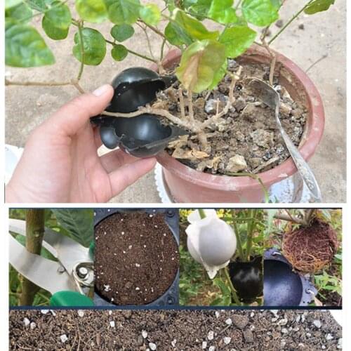 Plant Rooting Ball Grafting Rooting Growing Box Breeding Case Garden Plant Culture Root Growing Ball Gardeen Planting Tools