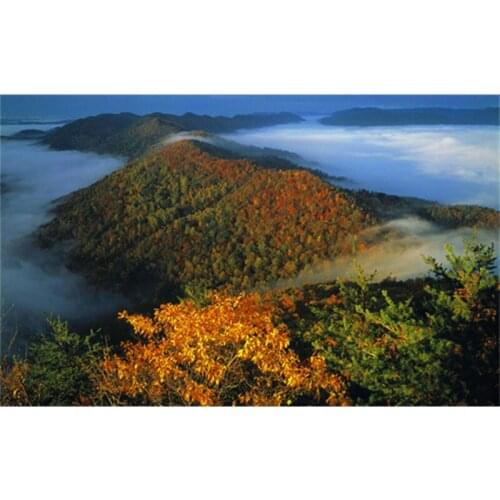 Diamond Embroidery Painting 3D Full Drill Diamond Mosaic Cross Stitch Pasted DIY Home Decor Craft Mountain forest A7197R