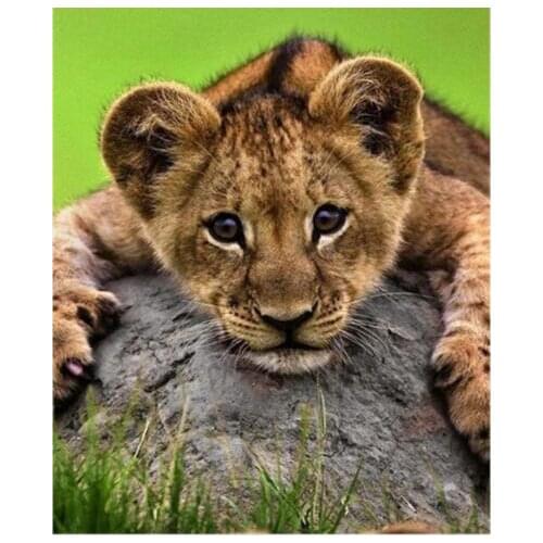 TOUOILP square full Diamond Painting Leeuw 22