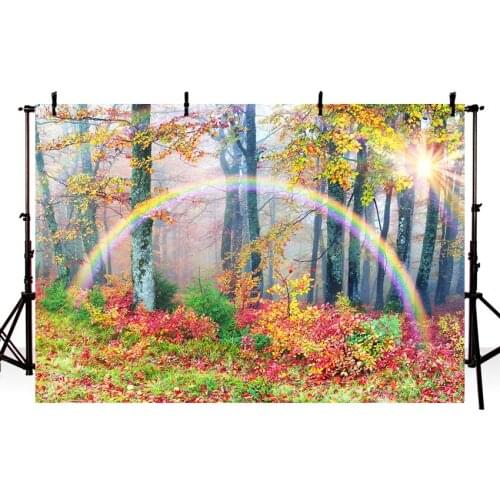 Photo Backdrops Fallen Leaves Froest Tree Sunlight Rainbow Child Natural Autumn Scenic Photographic Backgrounds for Photo Studio