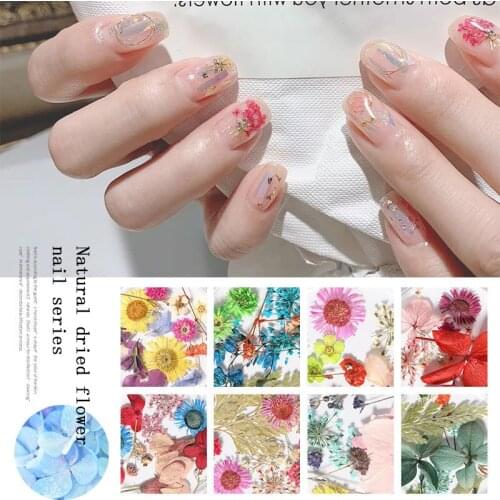 1 Box of 12 Colors Mixed Dried Flower Nail Decoration Natural Immortal Flowers and LeavesDIYnail Art Decal Decoration Accessorie