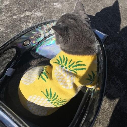 Cat Sweater Pineapple Design Luxury Short Sleeve Cat Clothes Dog Sweater Dog Clothes
