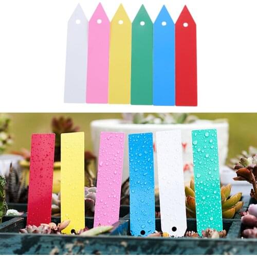 100Pcs 10 x2 cm Plastic Plant Tags with Hole Perforated Garden Plant Labels Nursery Garden Plant Stake Labels Pot Markers