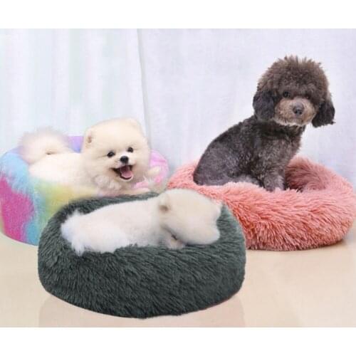Oeny Dog Beds