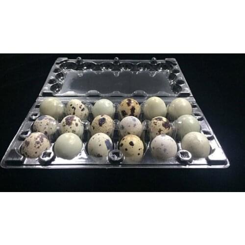 1000pcs 18 Holes 198*41*133cm Quail Eggs Container Plastic Clear Egg Packing Storage Boxes Wholesale Free Shipping SN313