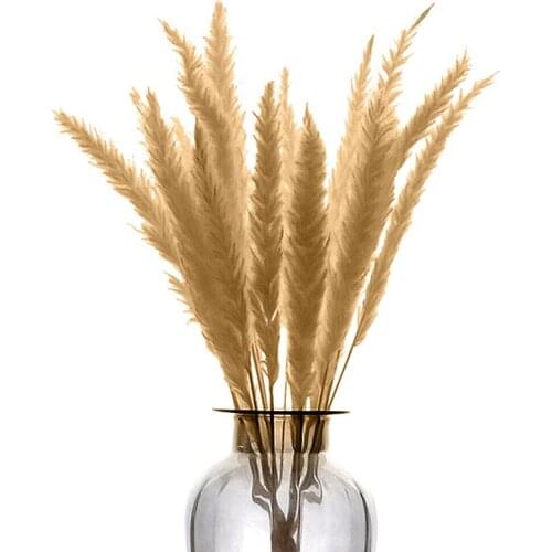 15pcs Natural Pampas Reed Grass Bouquet 45cm Wedding Garden Dried Flower Bunch Decor Festive & Party Supplies