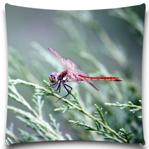 Dragonfly/Butterfly/Scorpion Square Pillow Case Bedding Room Sofa Chair Home Hotel Decorative Cushion Cover 5 size 9 style