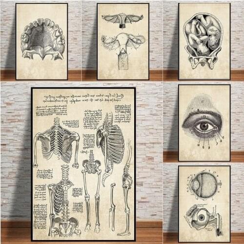 Anatomy Skeleton Nordic Wall Art Canvas Painting Posters and Prints Vintage Modern Wall Pictures for Hospital Office Decoration
