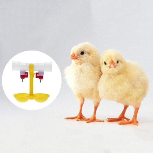 Поилки для животных MOJOYCE China At AliExpress