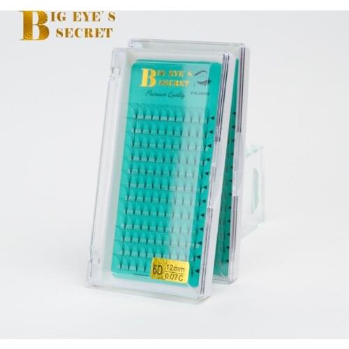 Big eyes secret 6D Lashes 10-14mm Pre Made Volume fans Silk Lashes Premade Russian Volume Eyelash Extension