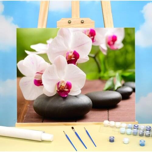 Orchid Flower Painting By Numbers Set Acrylic Paints 40*50 Paiting By Numbers Loft Wall Picture For Children Wall Wholesale