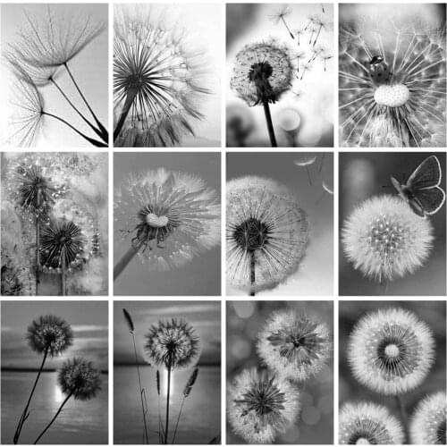 HUACAN Diamond Painting Full Drill Dandelion Decorations For Home Mosaic Flowers Embroidery Black And White Wall Decoration