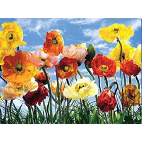 5D DIY Diamond Embroidery Poppy Flower Full Square Drill Rhinestone Picture Diamond Painting Floral Home Decoration FH1228