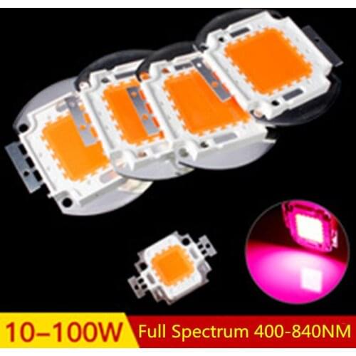 Светодиодные лампы CHICLITS Technology China At AliExpress