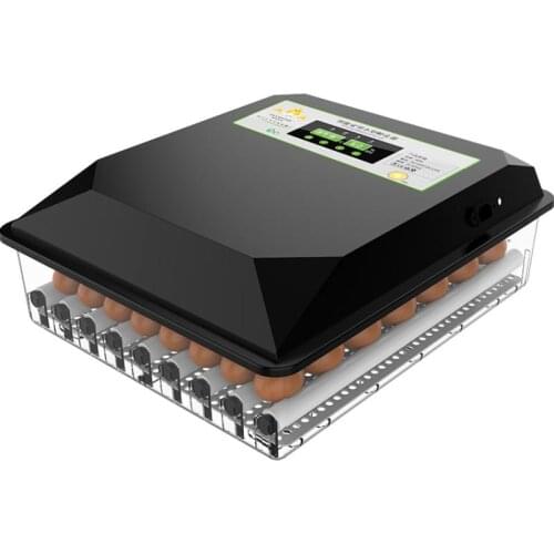 Automatic floating egg machine egg hatcher egg machine warm chicken incubator