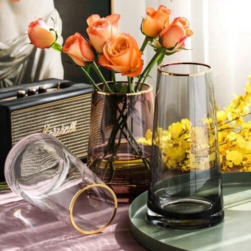 Europe Gold Line Glass Vases Home Deco Room Flower Basket Vase Decoration Home Transparent Creative Simple Vases High Quality