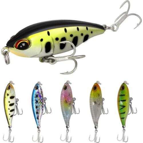 Paonear Fishing Lure For Carp