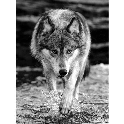 Wolf Animal Printed Water-Soluble Canvas 11CT Cross-Stitch Full Kit DIY Embroidery DMC Threads Handiwork Knitting work Sales