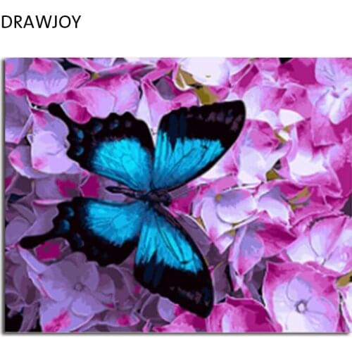 DRAWJOY Framed Picture DIY Painting By Numbers Oil Painting Of Butterfly and Flower Home Decor For Living Room 40*50cm GX21627