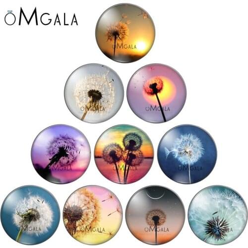 8mm 10mm 12mm 14mm 16mm 18mm 20mm 25mm Dandelion Round Glass Cabochon Flatback Photo Base Tray Blank DIY Making Accessories