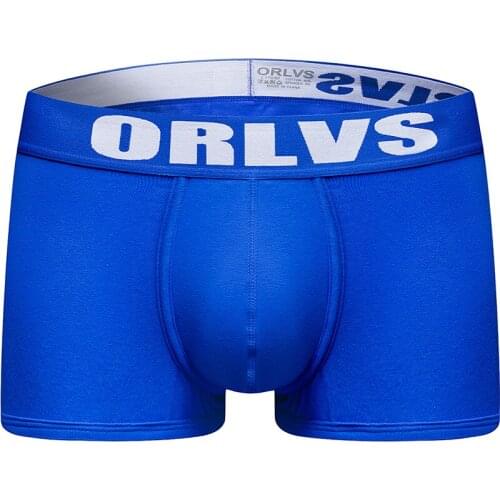 ORLVS Women Underwear