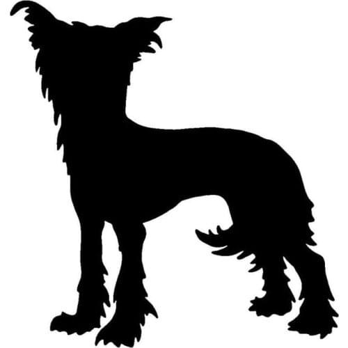 11.9*12.7CM Chinese Crested Dog Car Stickers Funny Vinyl Decal Car Styling Bumper Accessories Black/Silver S1-0708