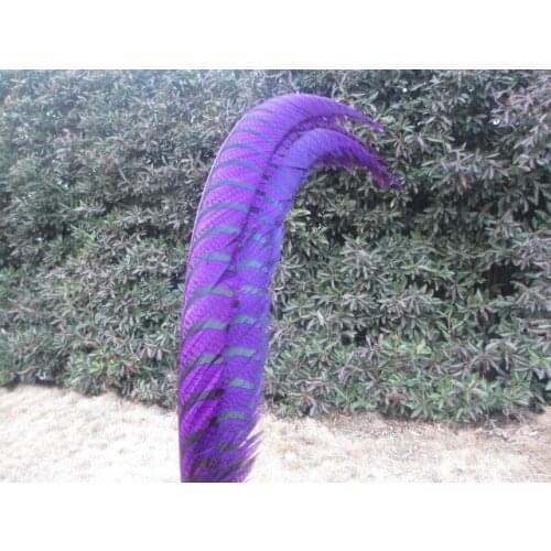 Wholesale 50 pcs rare purple golden pheasant tail feather cover 32-36 inches / 80-90 cm show party decoration