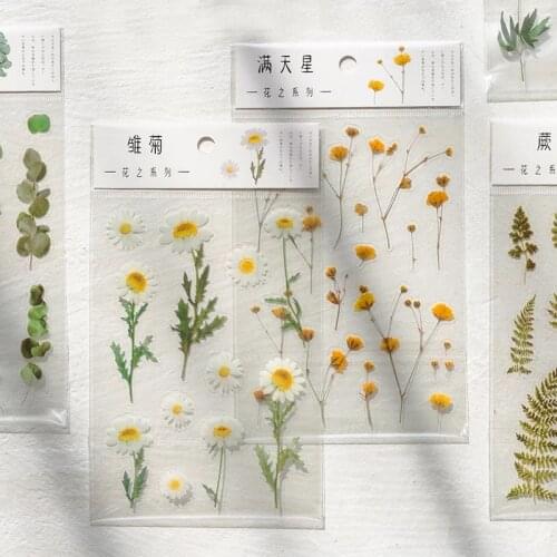 12 Designs Natural Daisy Clover Japanese Words Stickers Transparent PET Material Flowers Leaves Plants Deco Stickers DIY Diary