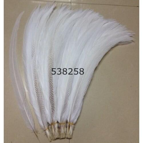 Silver pheasant feathers 55-60cm natural pure white color for craft dancer decoration plumages
