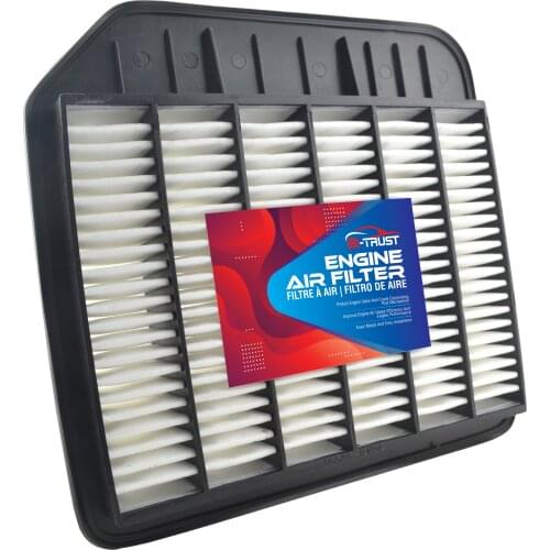 Bi-Trust Engine Air Filter for Infiniti Qx56 2011-2013 V8 5.6L/Infiniti Qx80 2014-2019 V8 5.6L/Nissan Armada 2017-2020 V8 5.6L