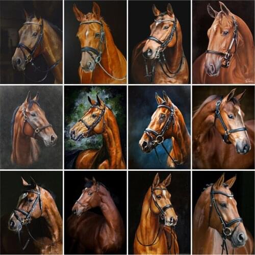 HUACAN DIY frame Picture By Numbers Horse On Canvas Unique Gift Acrylic Paint By Numbers Animal For Living Room