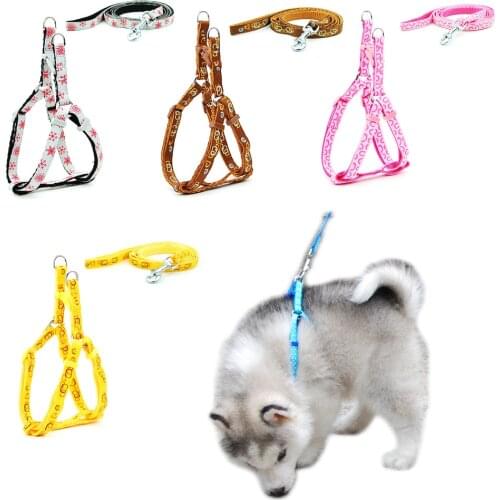 Pet Dog Harness and Leash Adjustable Collar Pet Products for Cat Small Dogs Outdoor Walking Puppy Accessories