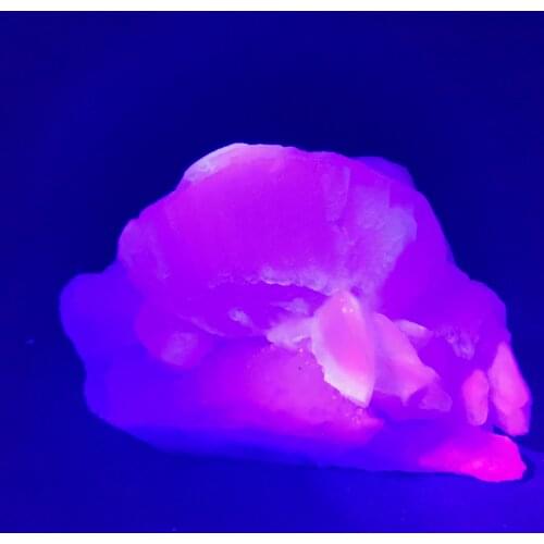 927.3g100% natural calcite shell mineral specimen aura HEALING CRYSTAL QUARTZ GEM home decoration teaching specimen ornaments