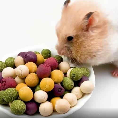 Natural Fruit Vegetables and Timothy Hay Treat Balls for Rabbits Guinea Pig Hamsters Chinchilla Bunny Small Animals