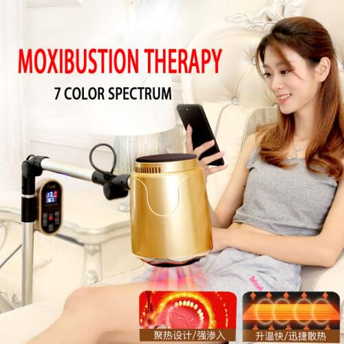 Moxibustion domestic instrument warming palace instrument fumigation physiotherapy family style whole body beauty salon smoke-fr