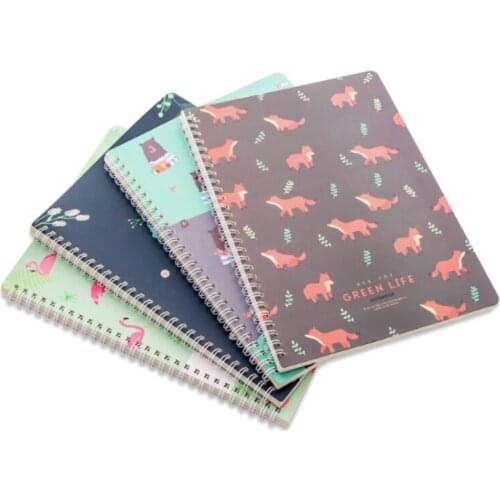 SumParvenu Creative Notebooks