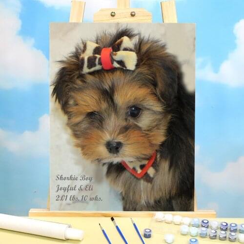 Animal Dog DIY Painting By Numbers Package Oil Paints 50*70 Boards By Numbers Home Decor For Kids Wall Art Wholesale