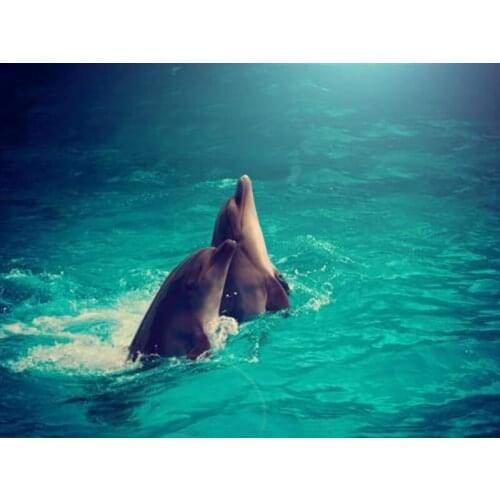 GLymg Diamond Painting Dolphin Love 5D Rhinestones Embroidery Diy Diamond Embroidery Painting Handicrafts Diamond Wall Art Decor