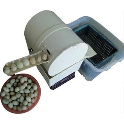 Good quality 2400pcs/h fresh egg washer machine for sale /dirty quail egg cleaning machine/goose egg washing machin