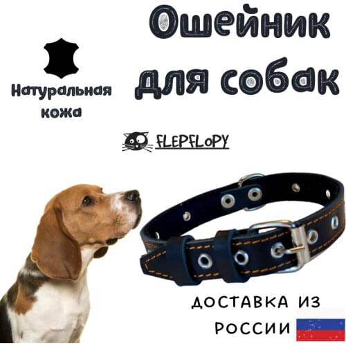 FlepFlopy Pet Supplies