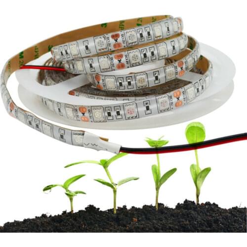 CHICLITS Technology Phytolamps For Plants