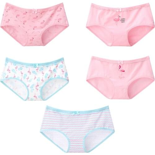 ATOXY Women Cotton Young Girls Briefs Sexy Underwear Cute Panties Breathable Ladies Underpants Female Intimates 5Pcs/Lot