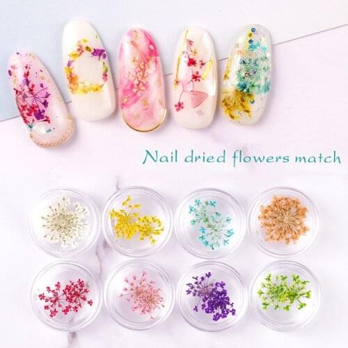 PINKLANDS Materials For Nail Design