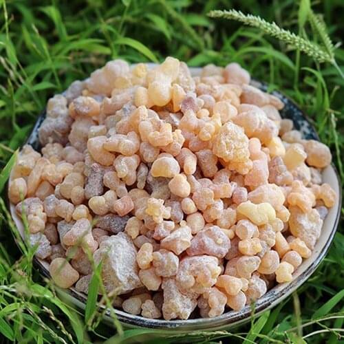 Frankincense Resin Organic Somalia Incense Brock Oliban Medicine Hydrosol Clean Frank Incense Nipple Boswellia Aroma Incense