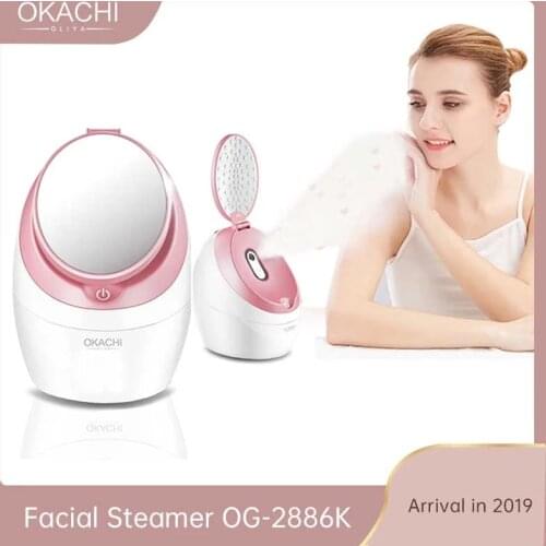 Professional LED Nano Ionic Face Steamer For Face Beauty Salon Personal Sauna SPA Mini Face Sprayer With Makeup Mirror