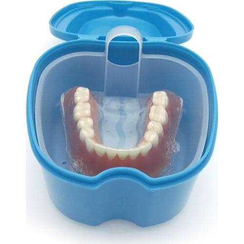 Denture Bath Box Organizer False Teeth Storage Box Net Container with Hanging Cleaning Teeth Cases TXTB1
